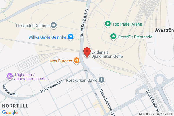 Gefle Hund & Katt Praktik AB