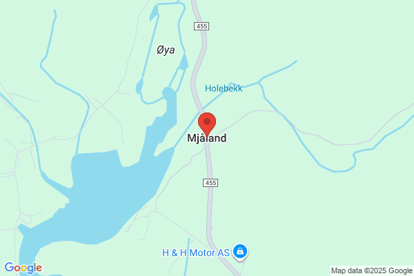 Mjaaland, Nils