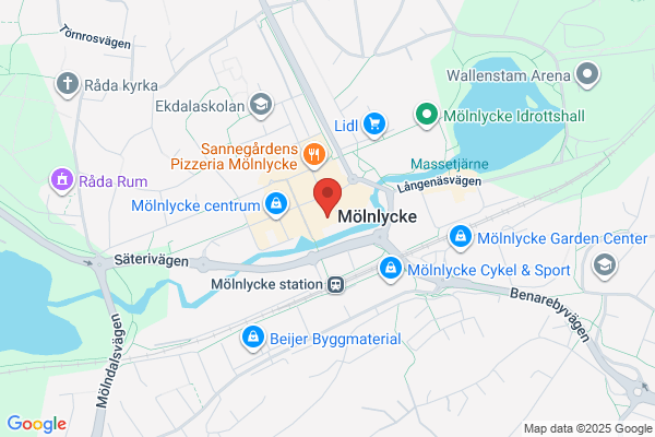 Konsult Axel Fromell