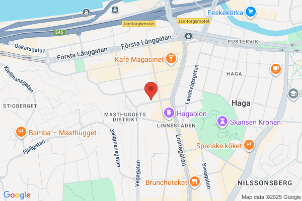 Masthugget Data