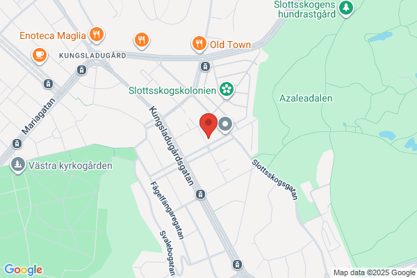 Vilda Änglar