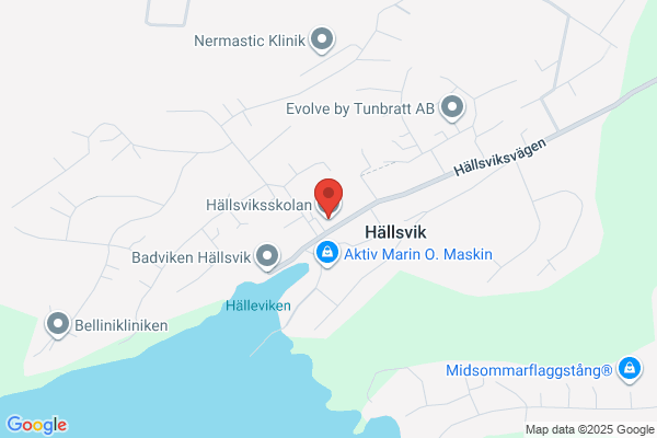 Halleskolan