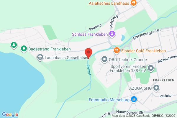 Geisel Piia, Tandläkare