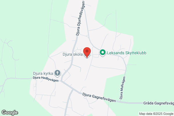 Djura Skola