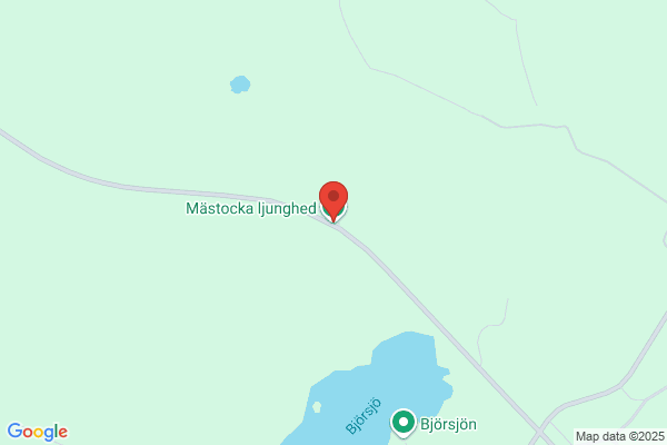 Mantikora