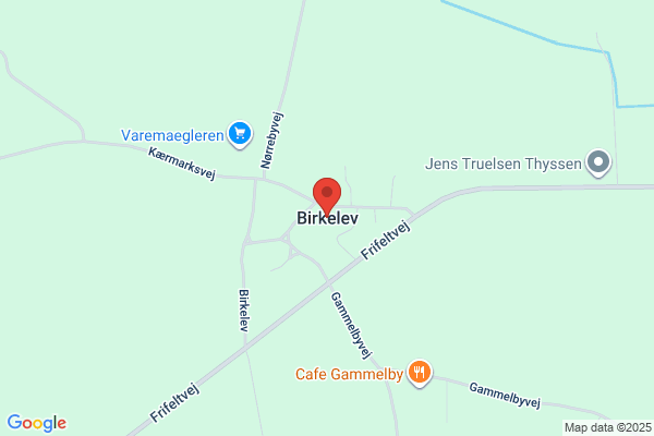 Birkeleva