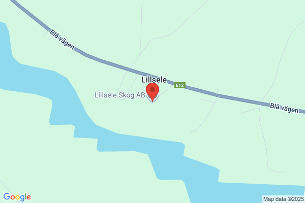 Lillsele Skog AB