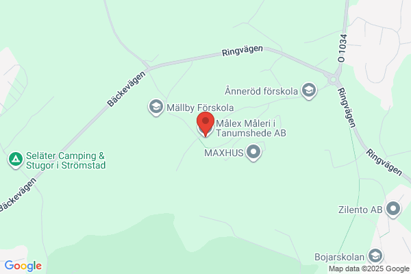 Målex Måleri i Tanumshede