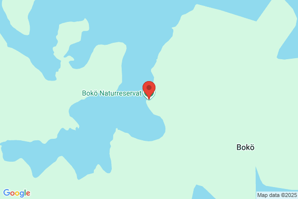 Salomon Bay AB