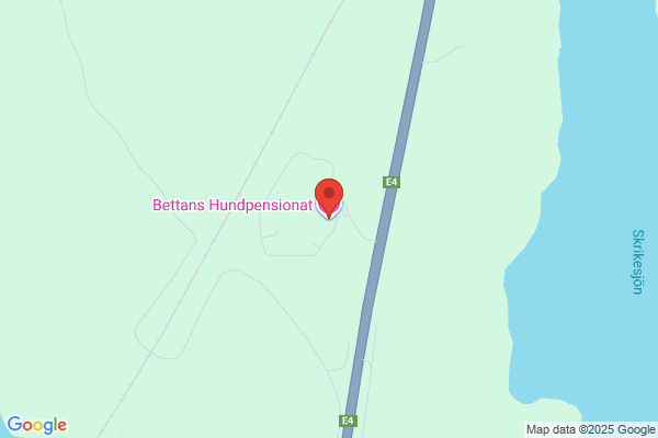 Björkenäs Hundpensionat
