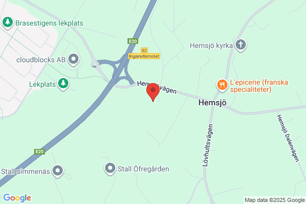 Hemsjukvården (Hemtjänst/Hemsjukvård)