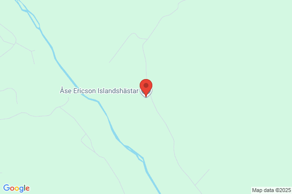 Åse Ericsons Islandshästar