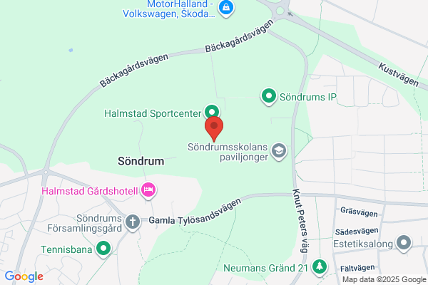 Halmstad Frigymnaster