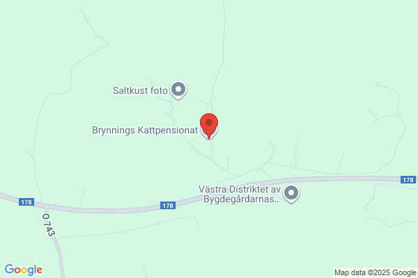 Brynnings Kattpensionat