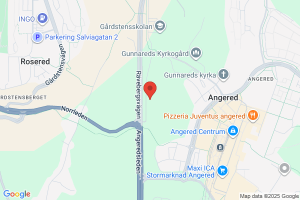 AI företagsservice