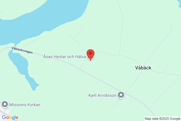 Åsas Hestar och Hälsa