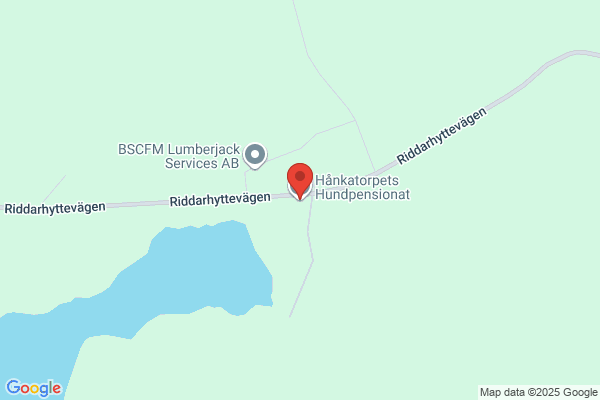 Änglahusets Hundpensionat Dagis