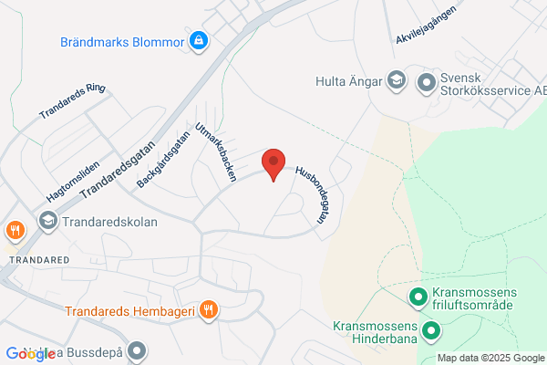 Anesten, Ylwa