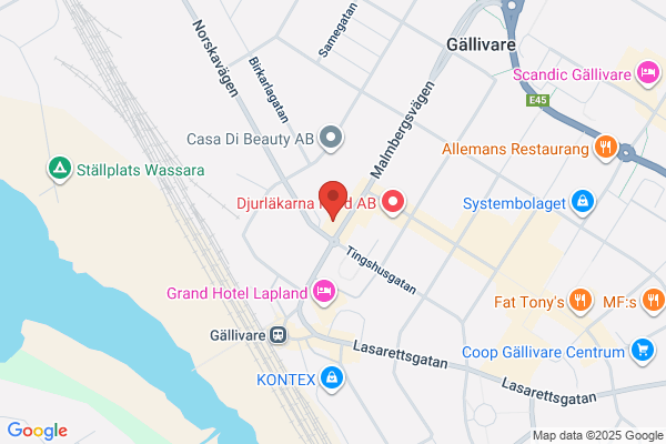 Restaurang Pizzeria Laguna
