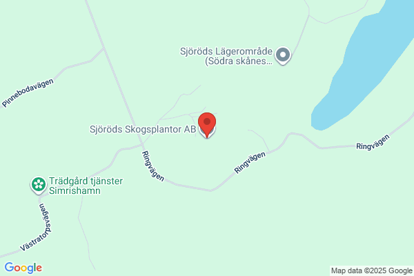 Sjöröds Skogsplantor AB