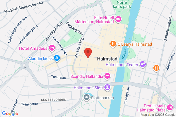 Hudläkare Larsen Allan