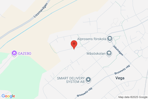 Fasadentusiasterna Olvega AB