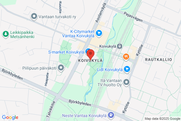 Koivumäki, Erkki