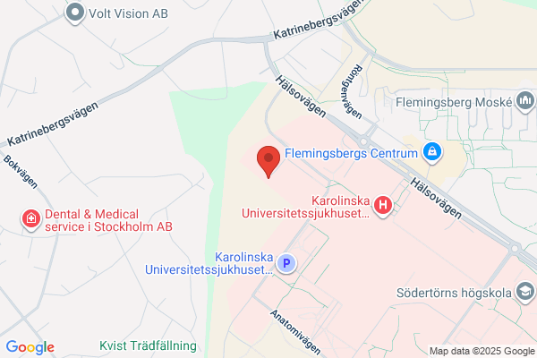 Äldre Måleriteknik