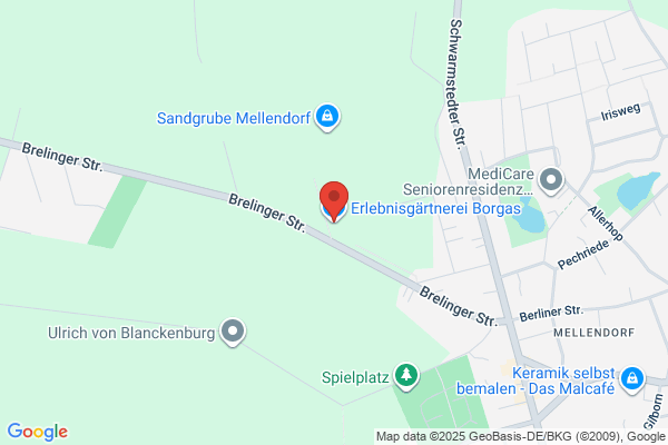 Borg Tage