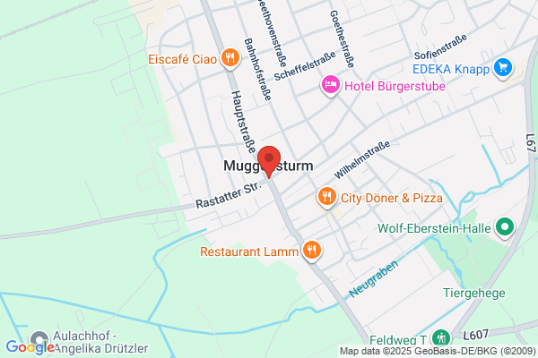 Muggen
