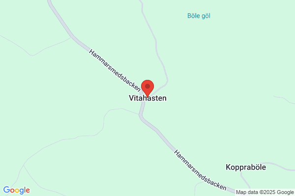 Vita Tänder
