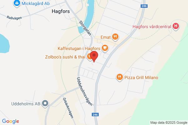 Nöjesbutiken i Hagfors AB