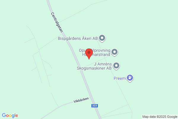 redovisning