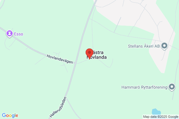 Hälsodynan i Värmland