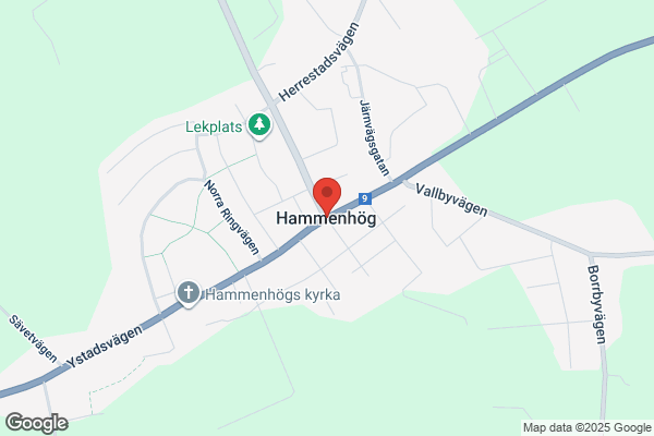 Hammenhög (Bibliotek)