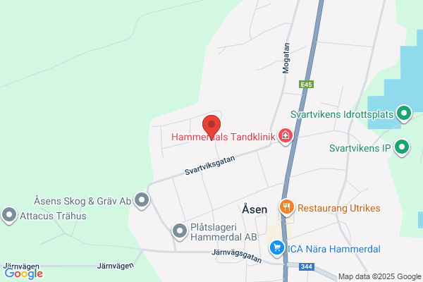 Vivaropets Auktionsbyrå