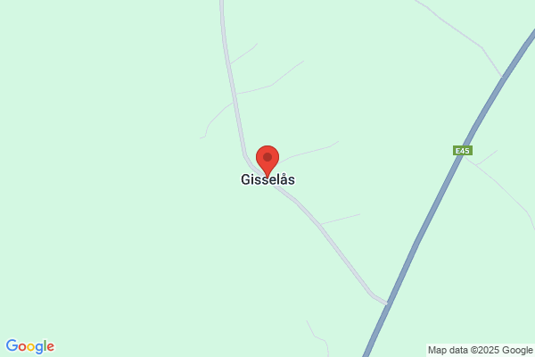 Gårdsfrun i Gissleås