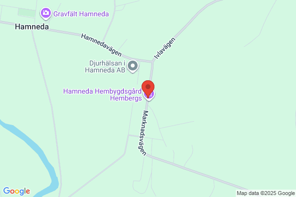 Hamneda Buss o. Maskin AB