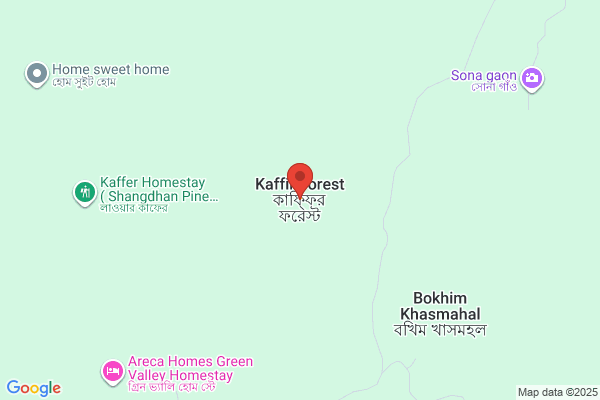 Kaffyr