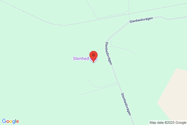 Stenagårdens Häst