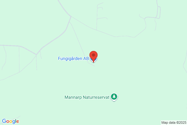 Små Ting