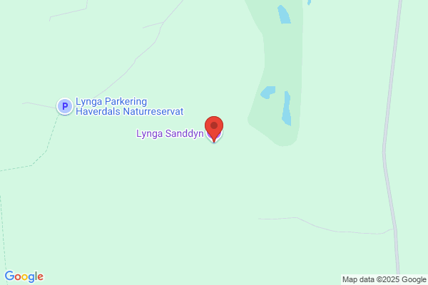 Sunes Varor och Tjänster