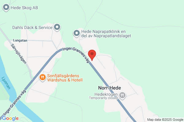 Sonfjällsbygdens El