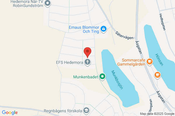 Guldflamma