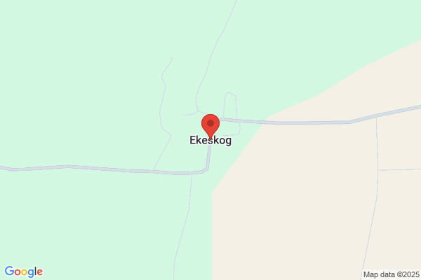 Ekoskog