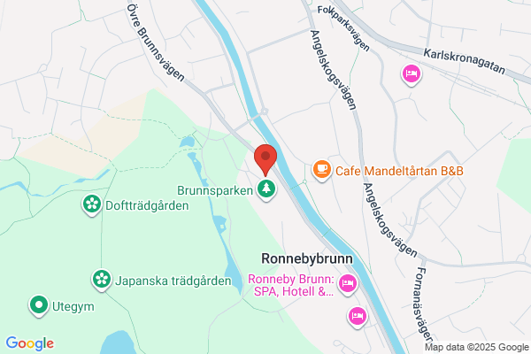 Björkelyckans Ryggakut