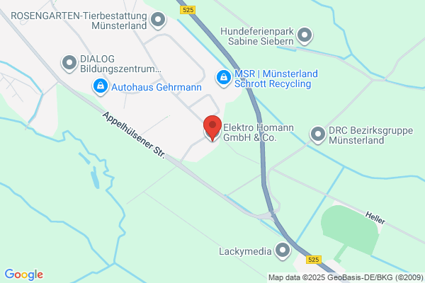 Homann Elektronik