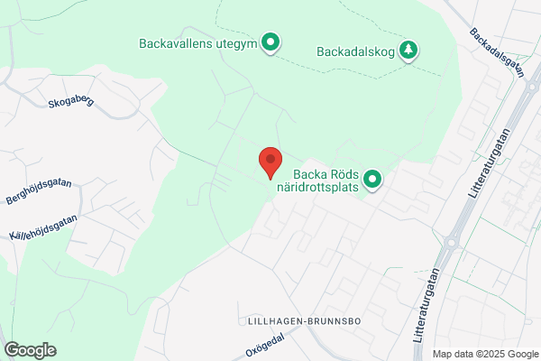 Puck-Verksamheten