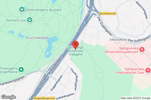 Botaniska Trädgården