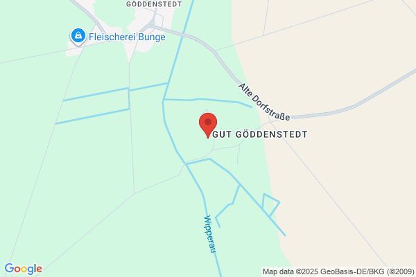 Sofiakonst